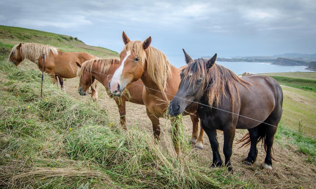 Posada Punta Ballota Suances Kültér fotó